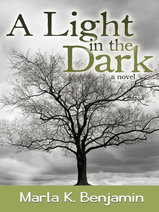 Title details for A Light in the Dark by Marla Benjamin - Available